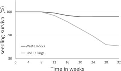 Mycorrhizae and Rhizobacteria on Precambrian Rocky Gold Mine Tailings: II. Mine-Adapted Symbionts Alleviate Soil Element Imbalance for a Better Nutritional Status of White Spruce Seedlings